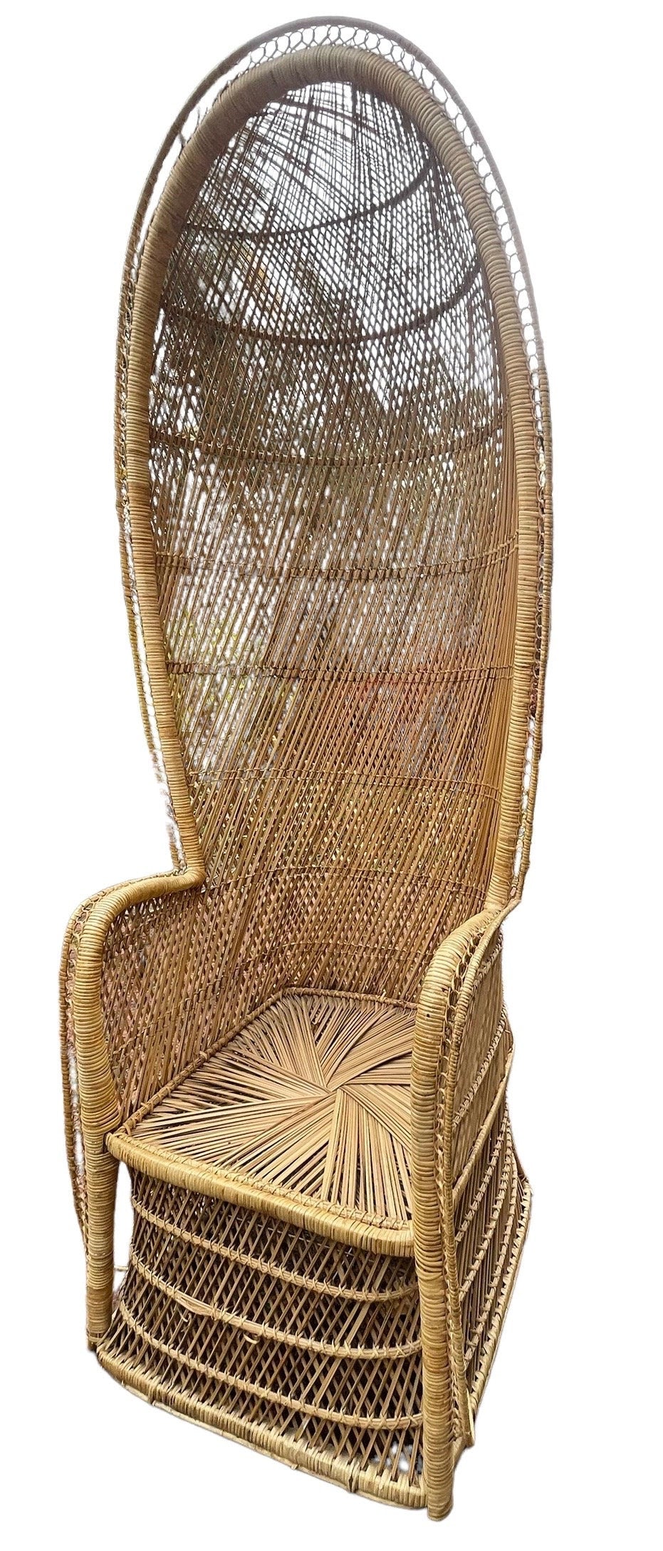 Vintage Peacock Chair Boho Accent Chair Wicker Canopy Peacock Hooded Rattan Throne